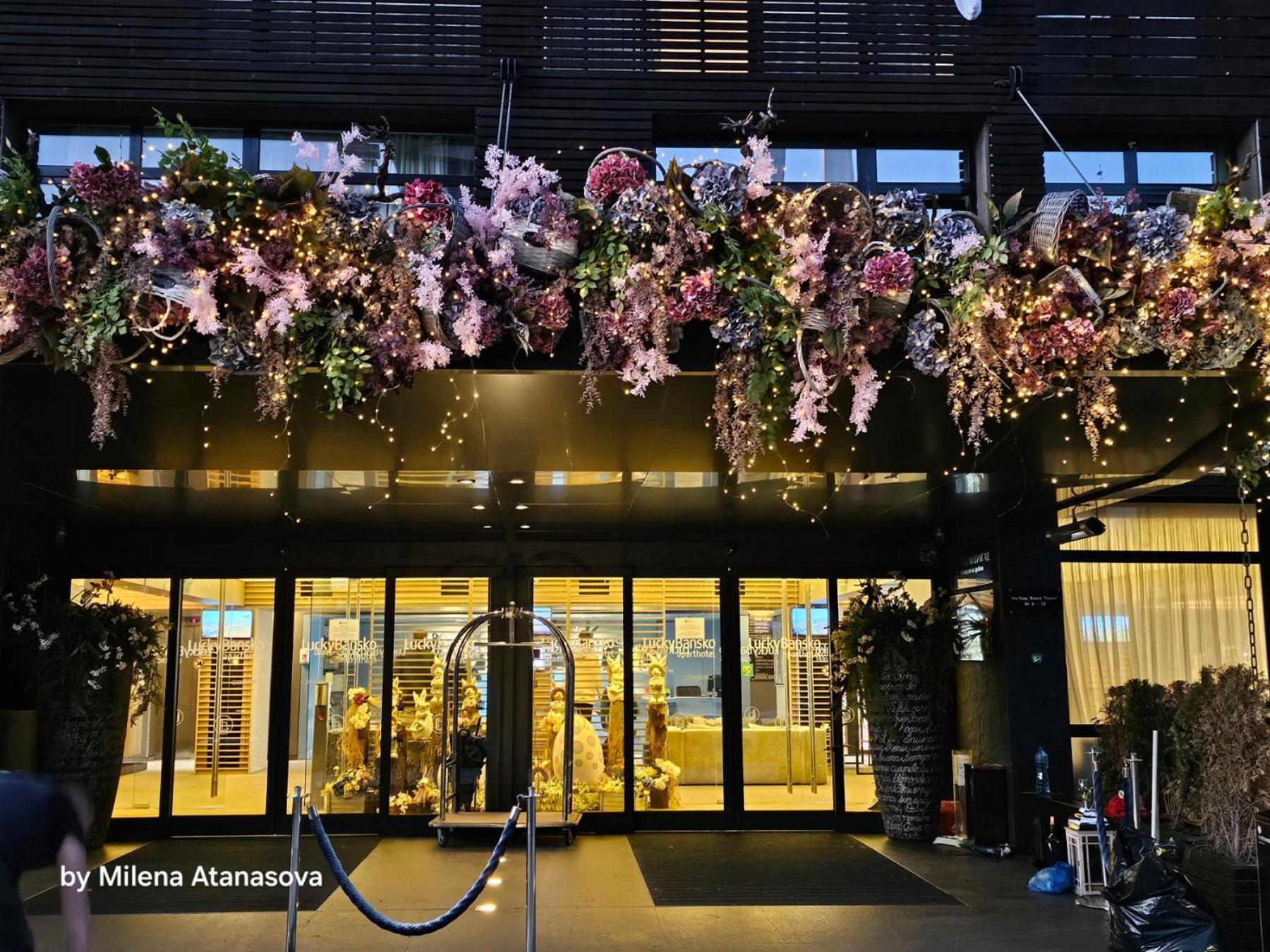 럭키 반스코 아파트호텔 스파&릴렉스 외부 사진 Entrance of the hotel