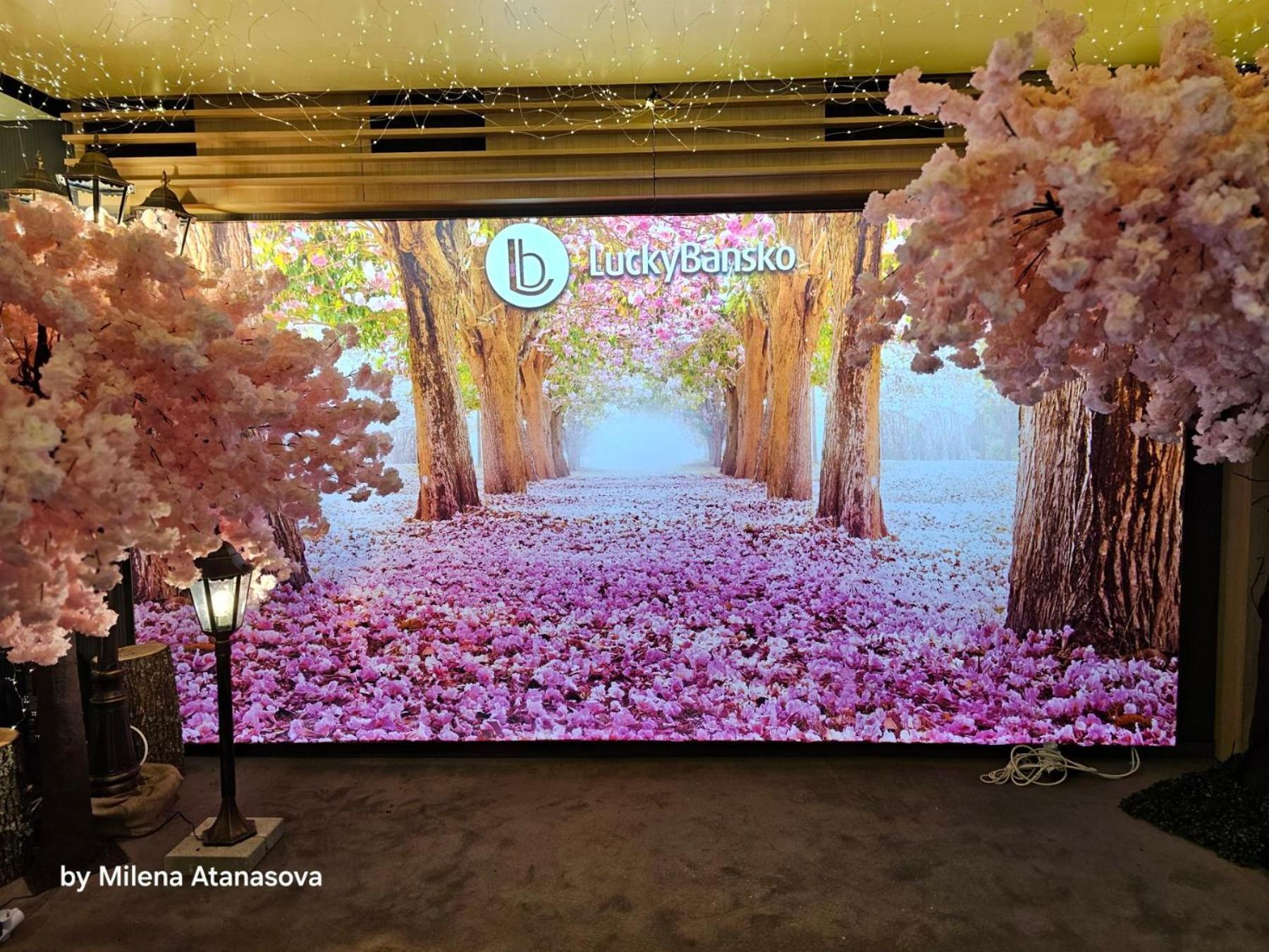 럭키 반스코 아파트호텔 스파&릴렉스 외부 사진 The entrance of the hotel